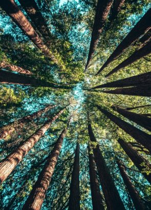 Noord-Amerika - Reizen